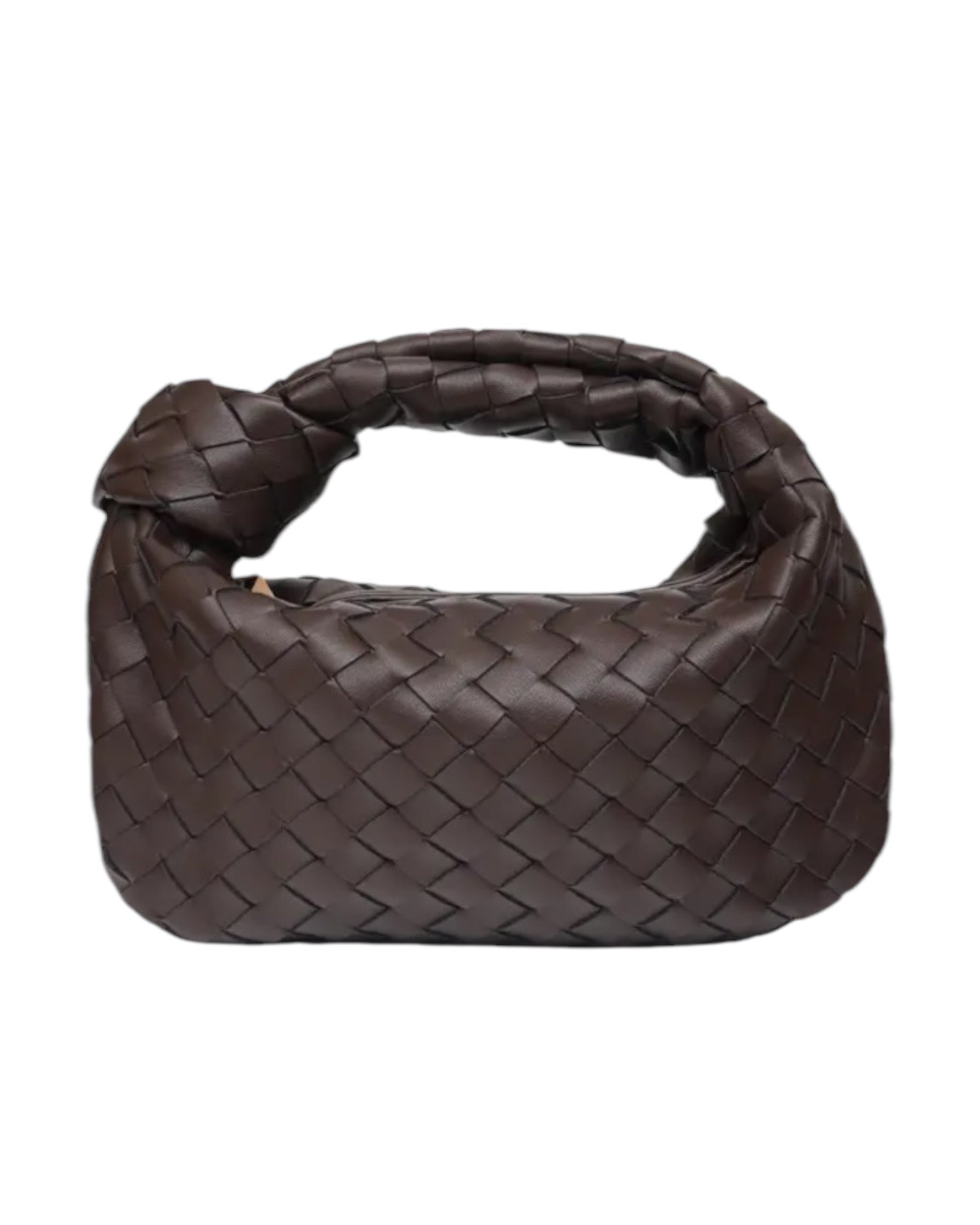 CARDI BROWN CH